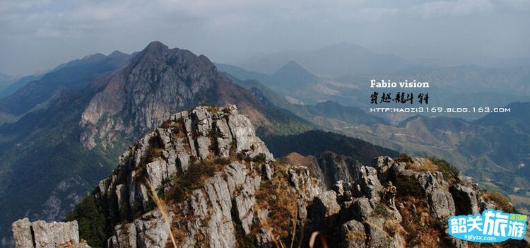 張國寶:成品油價格形成機(jī)制改革研究中