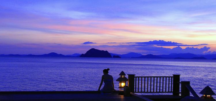 張國寶:成品油價格形成機(jī)制改革研究中