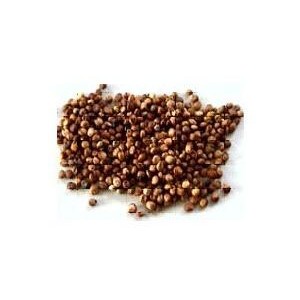 新欣農(nóng)牧收購玉米，大豆，花生米，高粱等產(chǎn)品