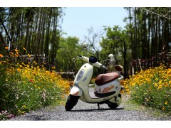 中國(guó)民族品牌