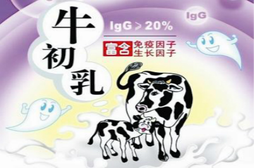 牛初乳十大品牌 十大牛初乳品牌排行榜 牛初乳哪個品牌好？
