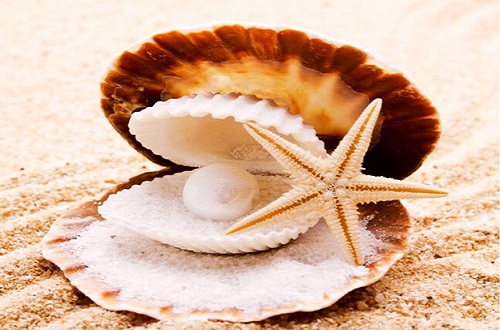 珍珠粉十大品牌，什么品牌的珍珠粉比較好