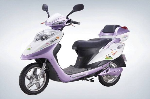 電動(dòng)車(chē)十大品牌，哪種牌子的電動(dòng)車(chē)性?xún)r(jià)比高