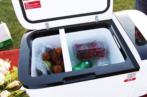 車載冰箱十大品牌，什么牌子的車載冰箱比較好