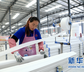 巨拓實(shí)業(yè)扶貧車間，共享工廠