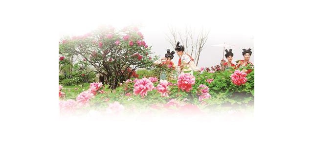 圍繞推動(dòng)文化和旅游融合發(fā)展，我市將著力打造一批能立、能呼、能傳的知名品牌。