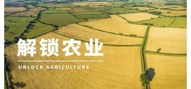 高啟杰等：三大電商平臺上，優(yōu)勢區(qū)域特色品牌占據(jù)較大市場份額