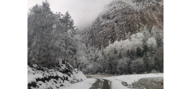 中國(guó)品牌共同定義高端旗艦顯示產(chǎn)業(yè)主動(dòng)完成轉(zhuǎn)移？