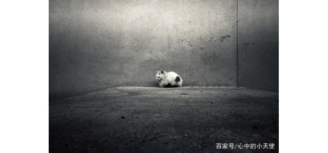 關(guān)于現(xiàn)代的「未來自閉癥」，專家怎么說？