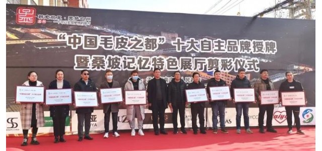 南莊鎮(zhèn)桑坡村十大自主品牌榮耀出爐！