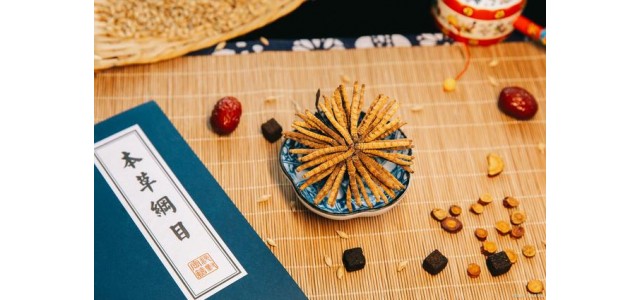 中藥第一民族品牌，股價(jià)從163元跌到53元，曾經(jīng)的龍頭還能漲嗎？