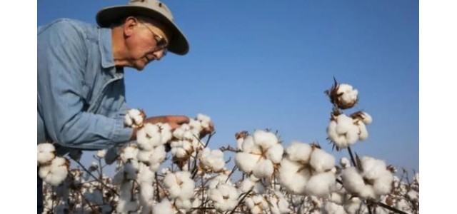 “新疆棉”風(fēng)波之后，耐克阿迪怎么樣？國(guó)產(chǎn)運(yùn)動(dòng)品牌的現(xiàn)狀如何